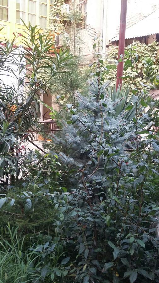 Hotel Joniskera Tbilisi Zewnętrze zdjęcie